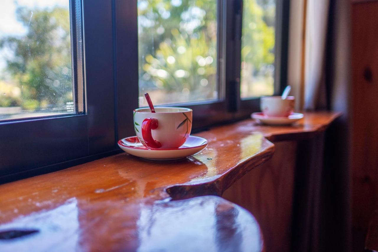 Waikoura Springs Bed & Breakfast ไคคูรา ภายนอก รูปภาพ