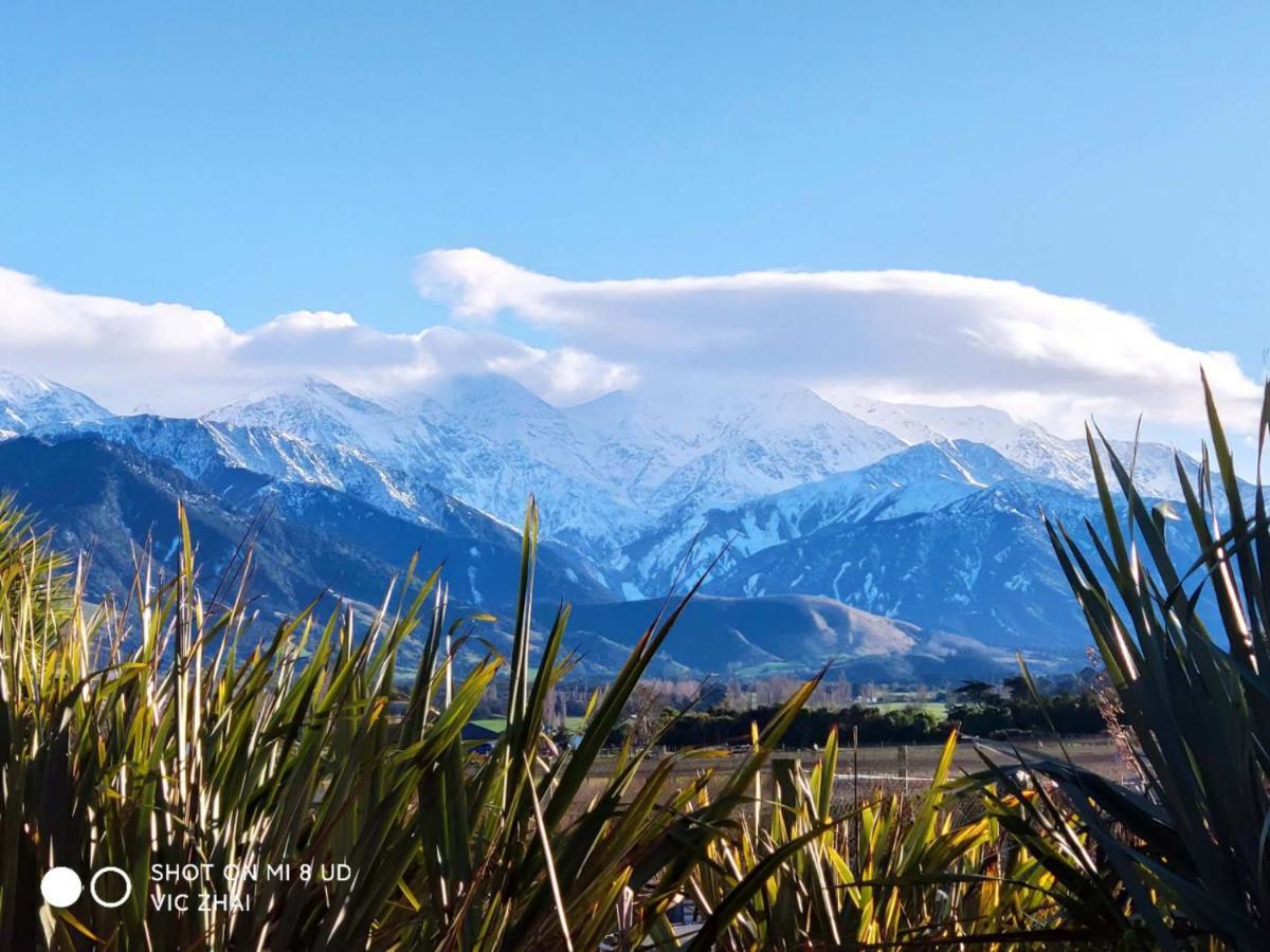 Waikoura Springs Bed & Breakfast ไคคูรา ภายนอก รูปภาพ